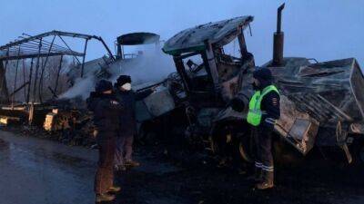 Два грузовика загорелись после столкновения на трассе в Самарской области, оба водителя погибли