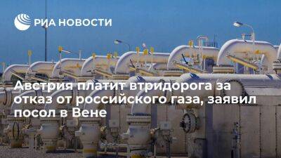 Посол Любинский: за отказ от российского газа Вена платит втридорога вопреки логике