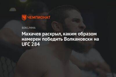 Махачев раскрыл, каким образом намерен победить Волкановски на UFC 284