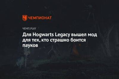 Для Hogwarts Legacy выпустили мод для арахнофобов