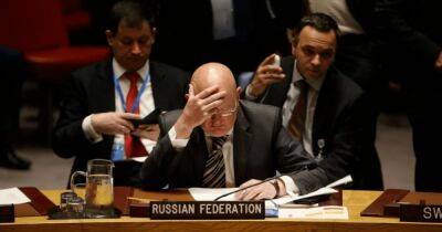 Россия нарушила шесть мирных договоров с Украиной. Как остановить РФ в ООН