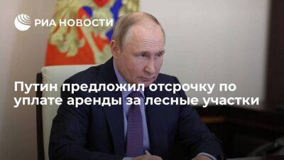 Путин предложил отсрочку по уплате аренды за лесные участки за не заготовленную древесину