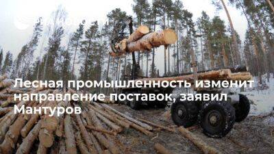 Мантуров: предприятия леспрома переключат поставки на Ближний Восток, Африку и Азию