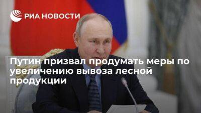 Путин призвал правительство и РЖД продумать меры по увеличению вывоза лесной продукции
