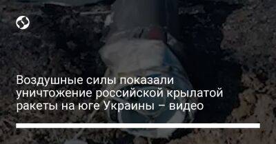 Воздушные силы показали уничтожение российской крылатой ракеты на юге Украины – видео