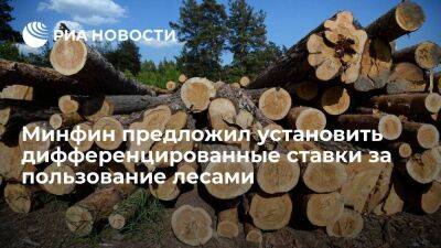 Глава Минфина Силуанов предложил задать дифференцированные ставки за пользование лесами