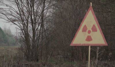 Зашло целое стадо: в Чернобыльской зоне засняли одичавших домашних животных