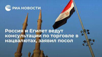 Борисенко: Москва и Каир ведут консультации по переходу на нацвалюты во взаимной торговле