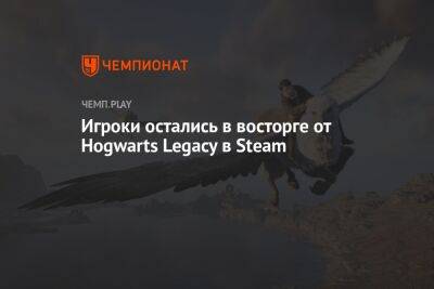 Игроки остались в восторге от Hogwarts Legacy в Steam