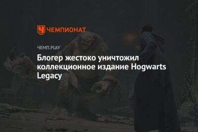 Блогер жестоко уничтожил коллекционное издание Hogwarts Legacy