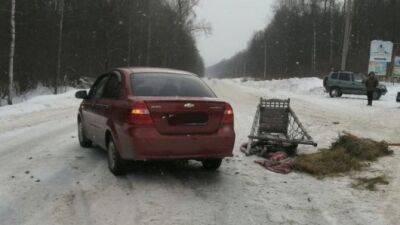 В Башкирии в ДТП с иномаркой и гужевой повозкой пострадали двое - usedcars.ru - Башкирия - район Бирский