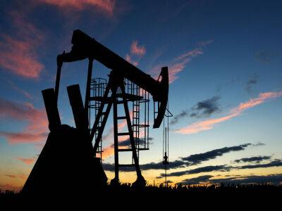 Россия в марте сократит добычу нефти на 500 тыс. баррелей в сутки – министр энергетики РФ - gordonua.com - Россия - state Texas - Украина - Австралия - Саудовская Аравия - Хельсинки