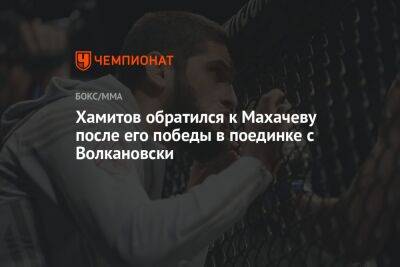 Хамитов обратился к Махачеву после его победы в поединке с Волкановски