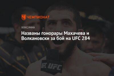 Названы гонорары Махачева и Волкановски за бой на UFC 284
