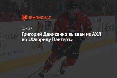 Григорий Денисенко вызван из АХЛ во «Флориду Пантерз»