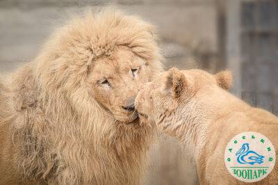 В Одесском зоопарке подвели итоги позитивного конкурса | Новости Одессы