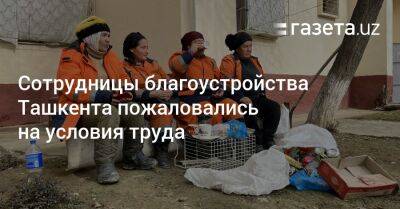Сотрудницы благоустройства Ташкента пожаловались на условия труда