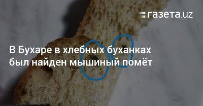 В Бухаре в хлебных буханках был найден мышиный помёт