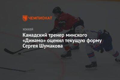 Канадский тренер минского «Динамо» оценил текущую форму Сергея Шумакова