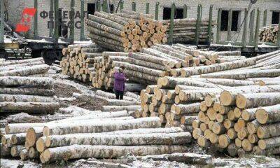 Путин предложил меры поддержки для лесопромышленного комплекса
