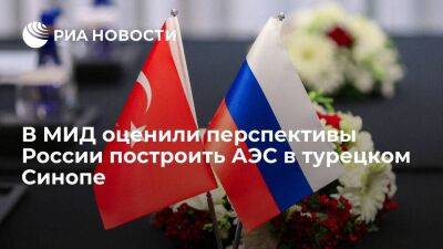 Глава департамента МИД назвал значительным потенциал сотрудничества России и Турции
