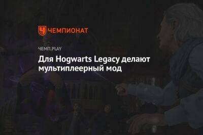 Для Hogwarts Legacy делают мультиплеерный мод