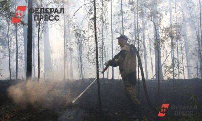 Финансирование лесопожарной защиты в Приангарье увеличат на 14 %: куда потратят деньги