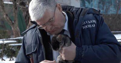 К 14 февраля директор Одесского зоопарка спел о любви к шиншилле и горилле (видео)
