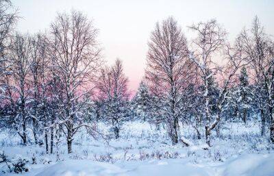 Погода в Тверской области: в ближайшие дни снова придут морозы