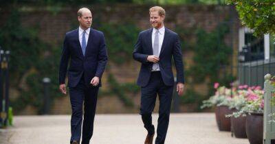 Вражда принца Уильяма и принца Гарри оказывает давление на дворец в преддверии коронации