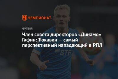 Член совета директоров «Динамо» Гафин: Тюкавин — самый перспективный нападающий в РПЛ
