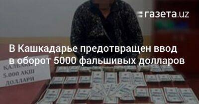 В Кашкадарье предотвращён ввод в оборот 5000 фальшивых долларов