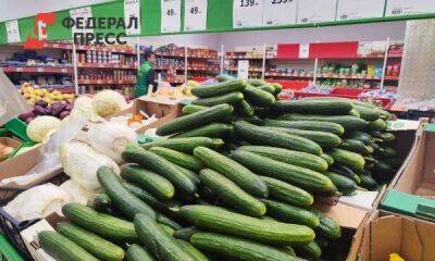 Цены на огурцы в Тюмени взлетели до 535 рублей за кило: дороже, чем манго