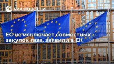 Вице-президент ЕК Шефчович: ЕС готова к закупкам газа через долгосрочные контракты