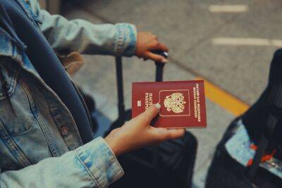 В России могут появиться онлайн-паспорта