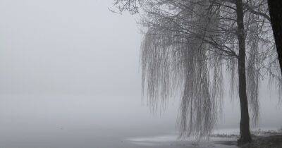Погода в Украине на 16 февраля: Днем до +6°, ночью заморозки (КАРТА)