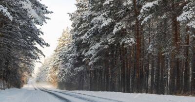 Погода в Украине на 17 февраля: облачно, местами снег (КАРТА)