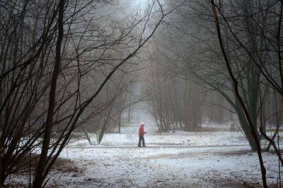 Погода в Украине - прогноз погоды на 17 февраля