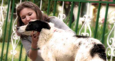 “Нельзя заставить человека любить животных, но научить гуманному отношению нужно”. Гульнора Амиршоева о движении зоозащитников в Душанбе