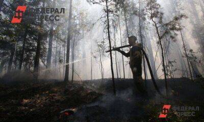 Красноярские лесные пожарные получат дроны и вездеходы