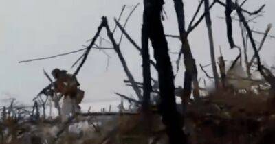 "Так выглядит штурм малой группы": появилось видео ближнего боя бойца ВСУ против оккупантов