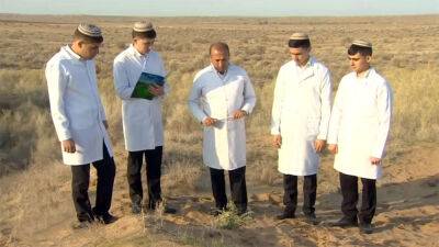 Туркменские ученые запатентовали получение брикетов из копетдагской полыни