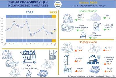 На Харьковщине подешевели сахар и топливо, выросли в цене овощи и молоко