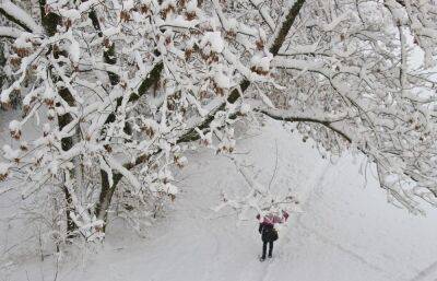 Погода в Твери сегодня: регион засыплет снегом