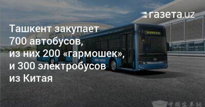 Ташкент закупает 700 автобусов, из них 200 «гармошек», и 300 электробусов из Китая