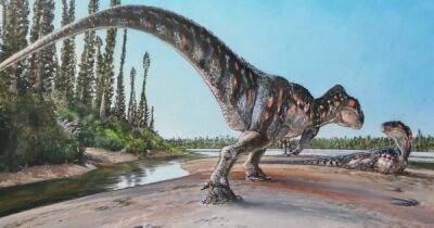 След в истории: археологи нашли метровый отпечаток лапы мегалозавра