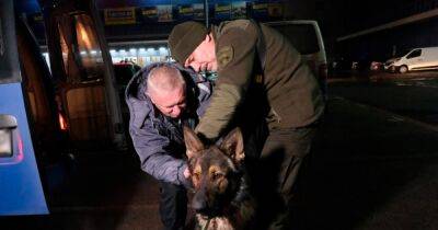 Невероятная история. Полицейский из Мариуполя нашел собаку, которую не видел 9 месяцев