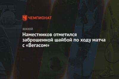 Наместников отметился заброшенной шайбой по ходу матча с «Вегасом»