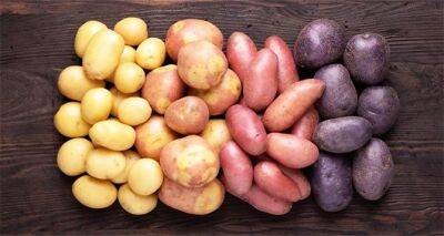 Стали известны потребности Украины в картофеле на текущий год