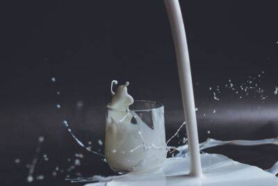 Роспотребнадзор рассказал о количестве фальсификата в молочной продукции